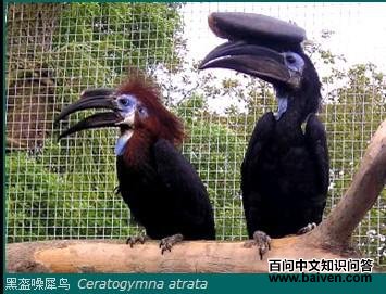 ����Ϭ����