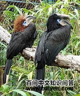 �ڿ���Ϭ��