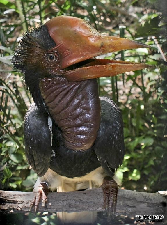 ��Ϭ���ͼƬ