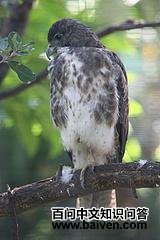 �������\