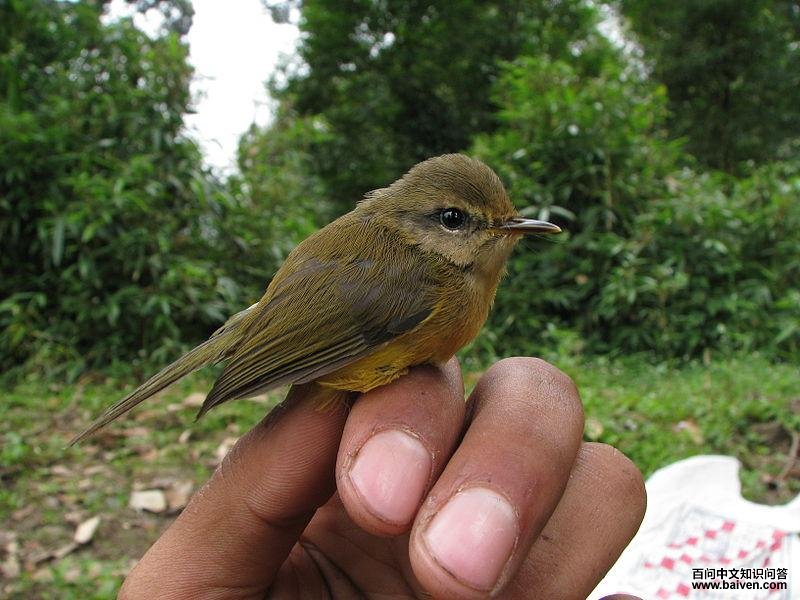 �����lݺ��ͼƬ