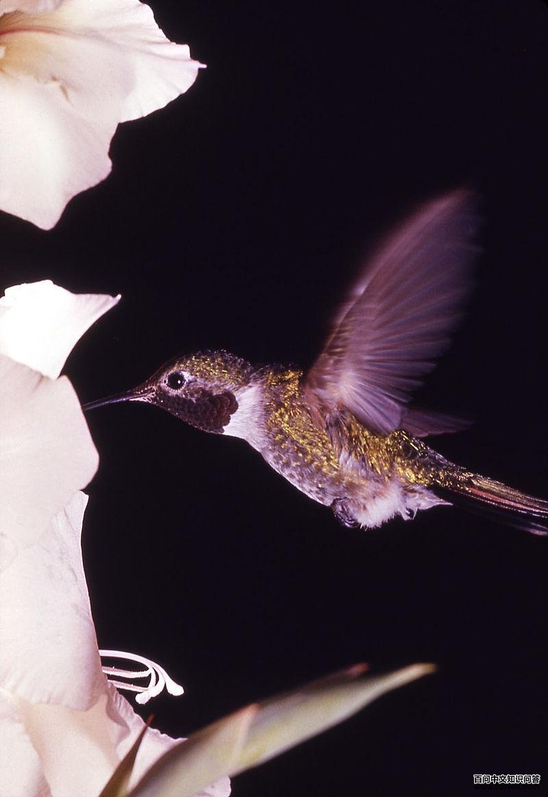 ��β�ͷ����ͼƬ