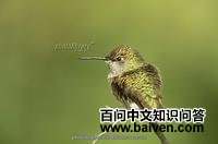 ��β�ͷ���