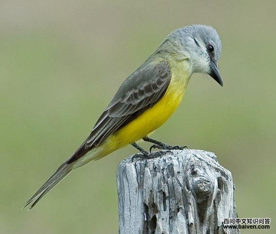 ���������l