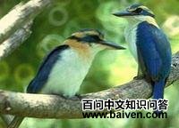 ��˵����