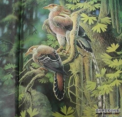 ������Ŀ