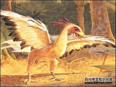 ������Ŀ