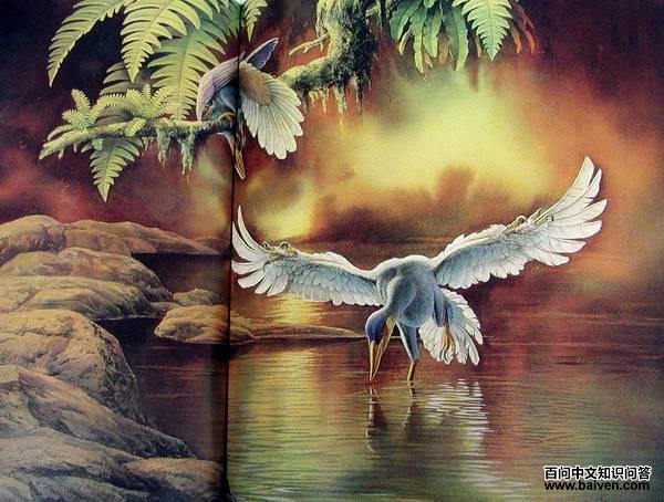 ������Ŀ