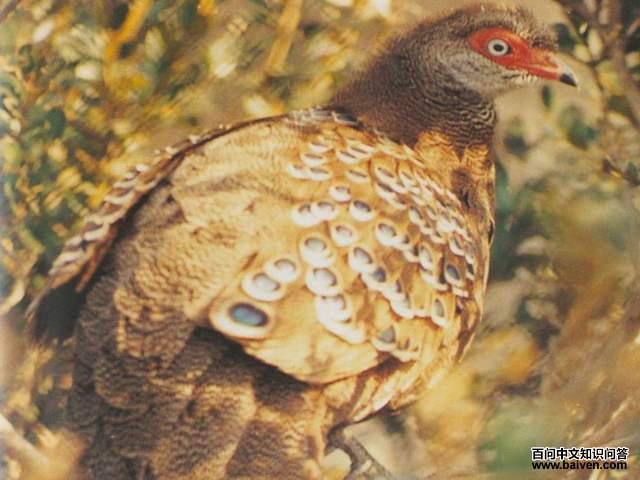 ��ȸ����