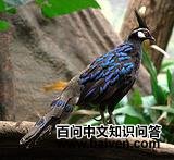 ��������ȸ��