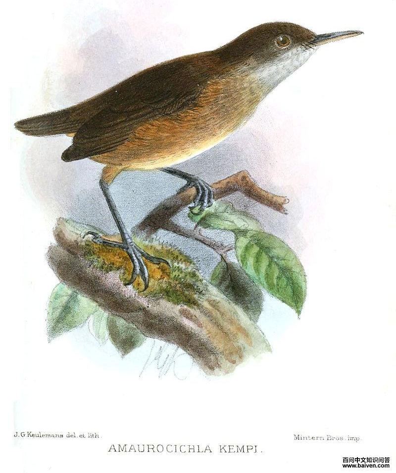 ���ϳ���ݺ��ͼƬ