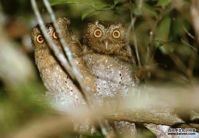 �����ǽ��^