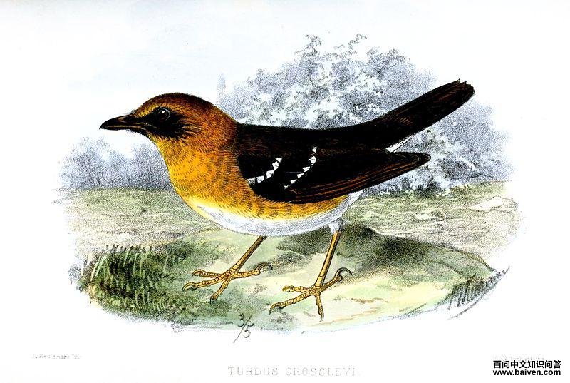 ���ϵ���ͼƬ