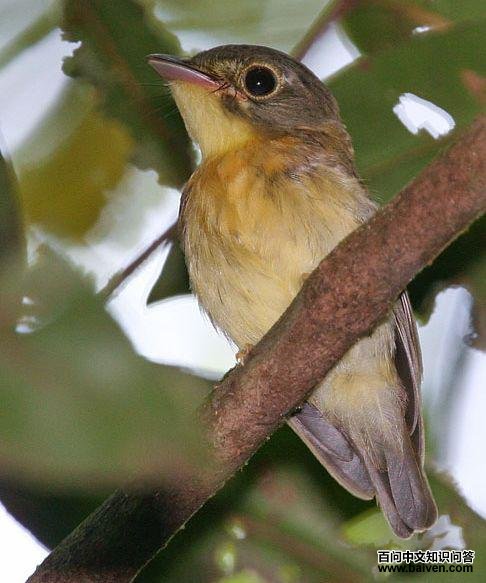 �׹ڲ���ȸ��ͼƬ