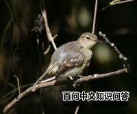 �Ƶ����l��ͼƬ