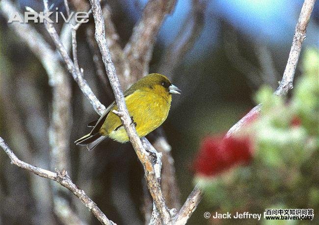 ��������ȸ