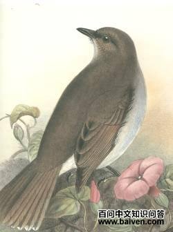 ��������ͼƬ