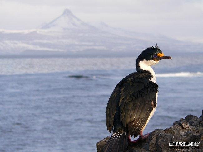 ������˵�ͼƬ