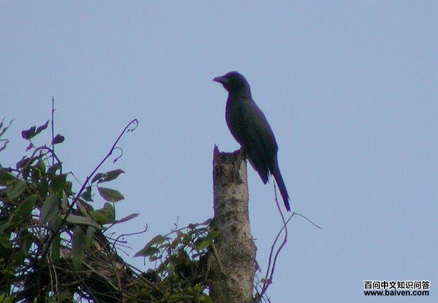 �������V��ͼƬ