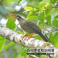 ������ͼƬ