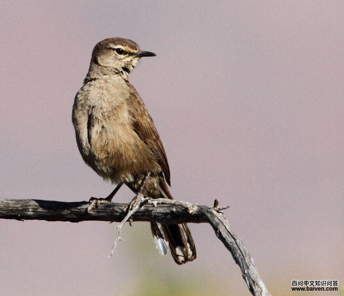 ����޴��ͼƬ