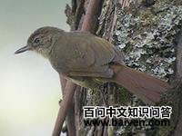 ������βȸ��ͼƬ