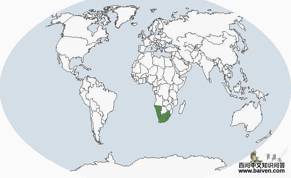 ��³�����