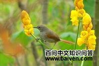 �׸���βȸ��ͼƬ