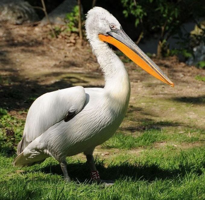 �������ɵ�ͼƬ