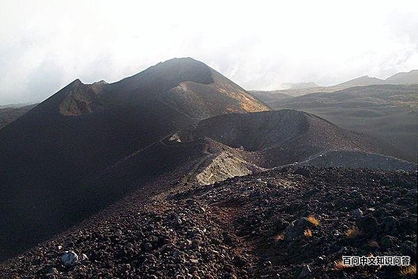 喀麦隆鹎 喀麦隆鹎的图片