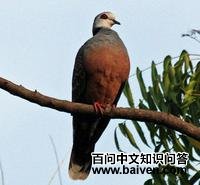 ����¡���