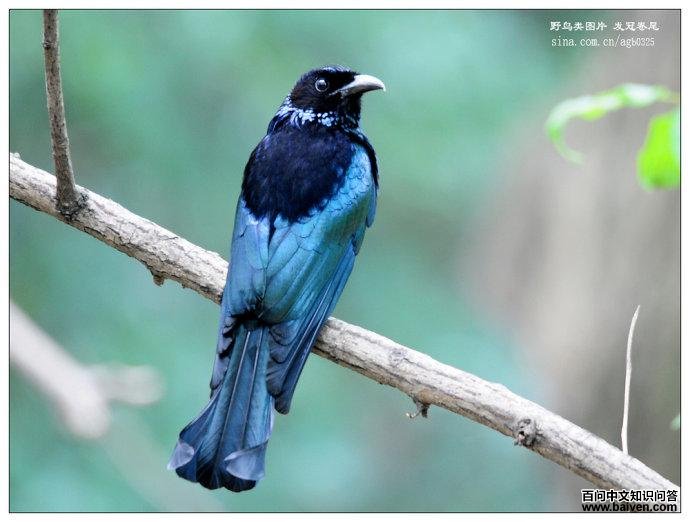 ��β����ͼƬ