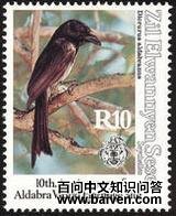 ������β