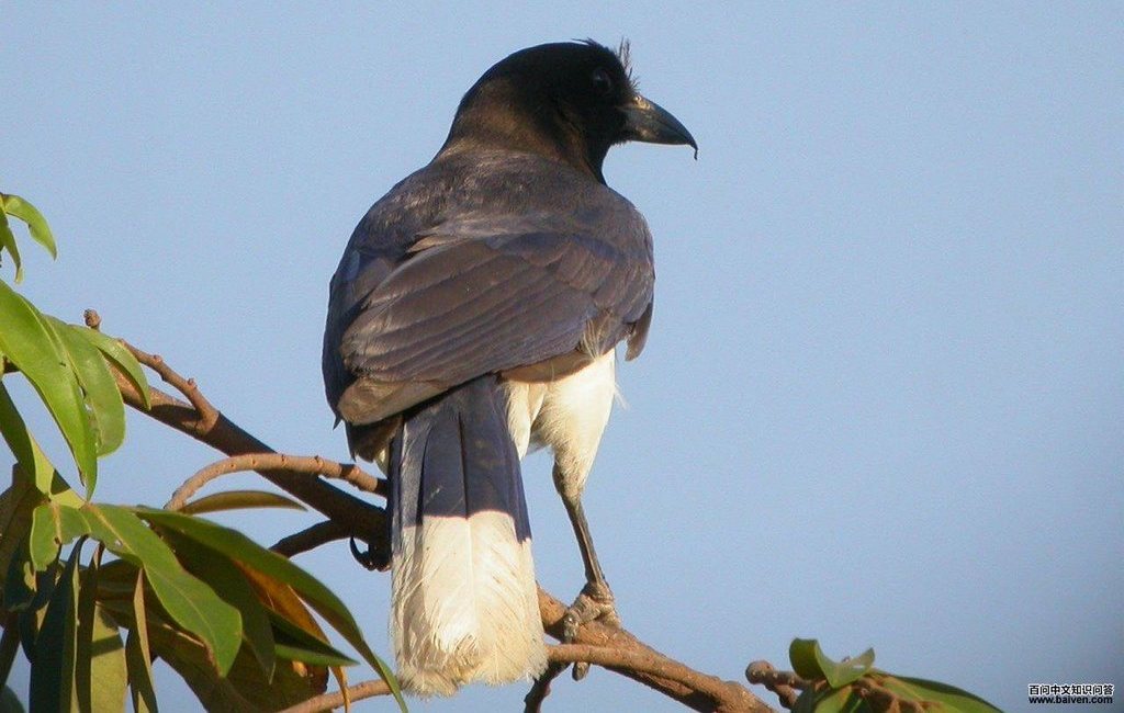 ������ѻ