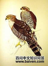 ���޾���