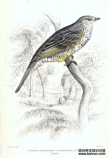 ���V����ͼƬ