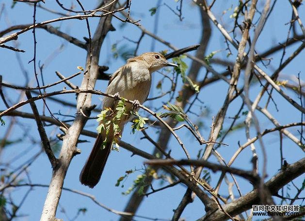 �����ľ�ǵ�ͼƬ