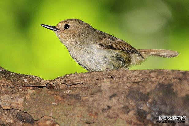 ����˿��ݺ��ͼƬ