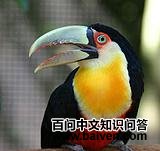 ���ؾ�����