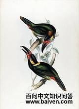 С��������