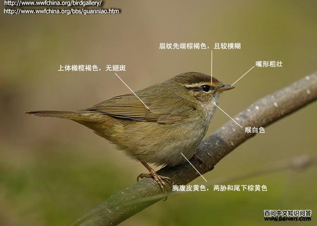 ������ݺ