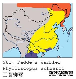 ������ݺ�������ֲ�ͼ