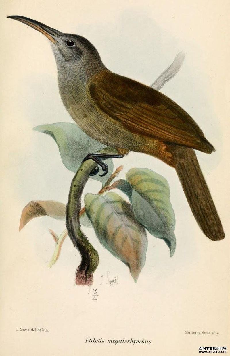 ����������ͼƬ