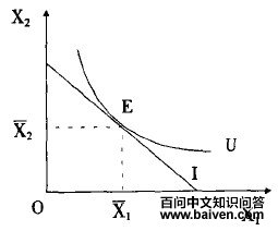 ������:�޲�������������������Ϊ����