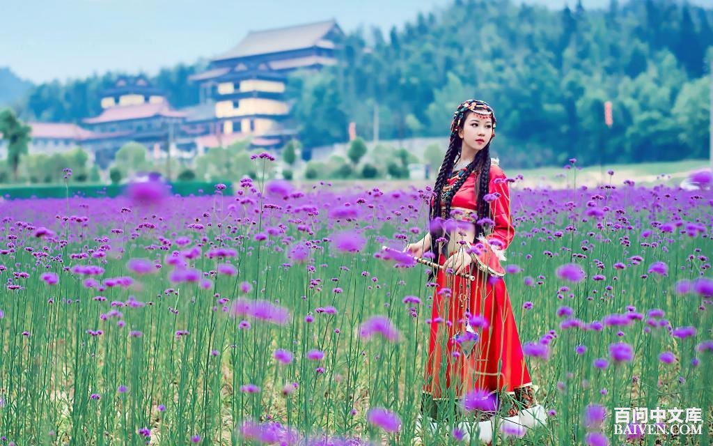 ��úƤ��ϵͳ���޵�Σ�յ�Ϳ��ƴ�ʩ