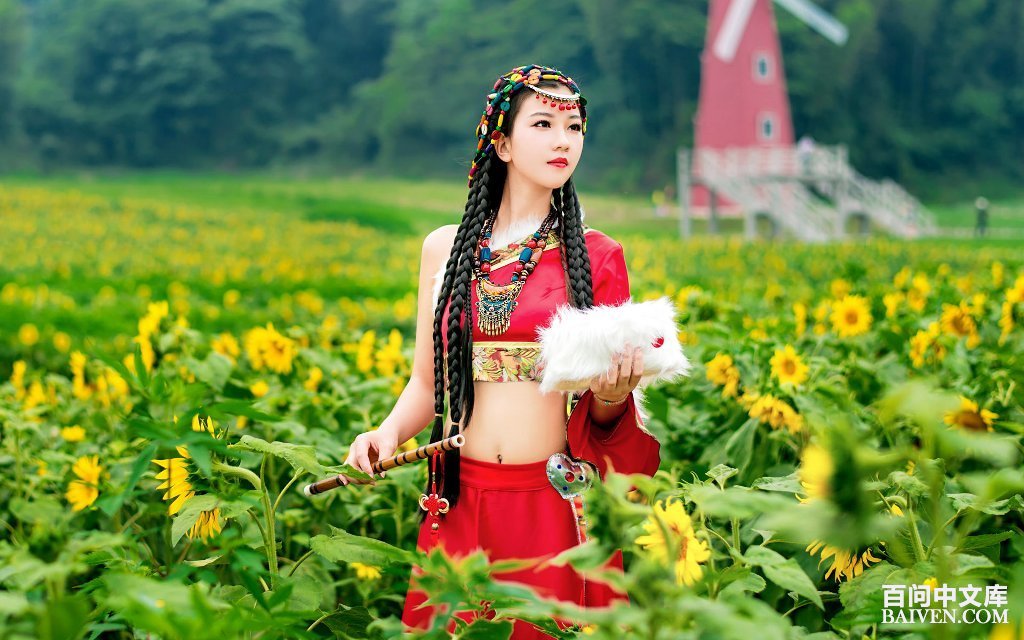 �������������޵�Σ�յ�Ϳ��ƴ�ʩ