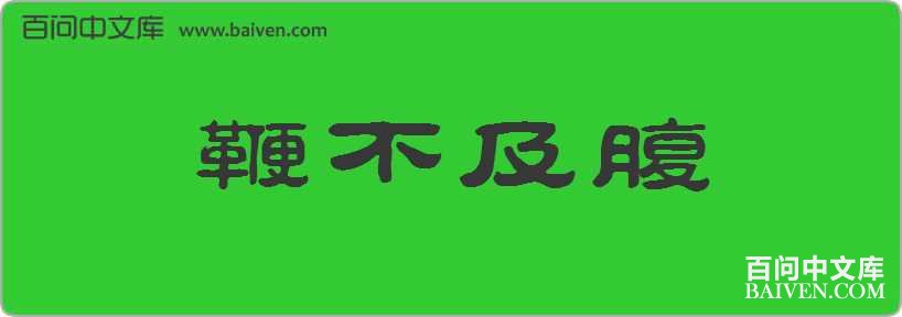 �޲��������