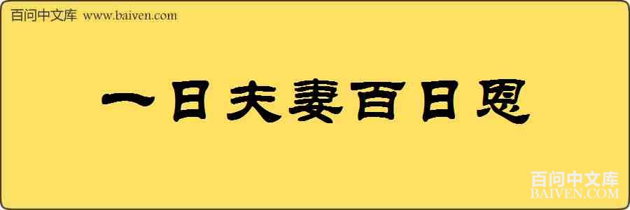 һ�շ��ް��ն����