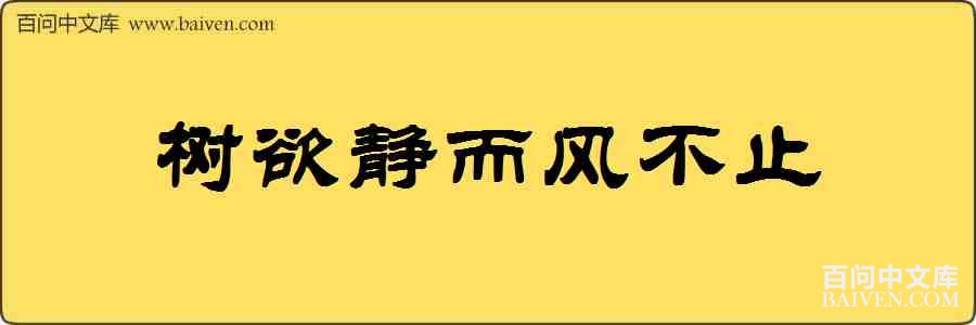 ���������粻ֹ���