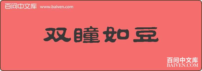 ˫ͫ�綹���